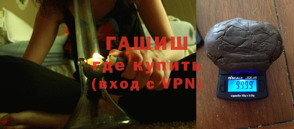 индика Няндома
