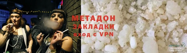 индика Няндома