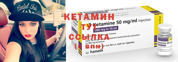 индика Няндома