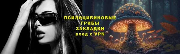 индика Няндома