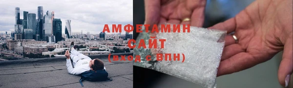 индика Няндома