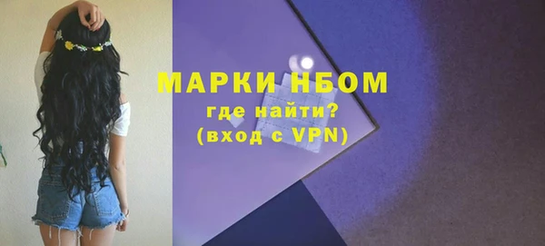 индика Няндома
