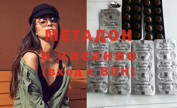 индика Няндома