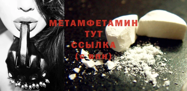 индика Няндома