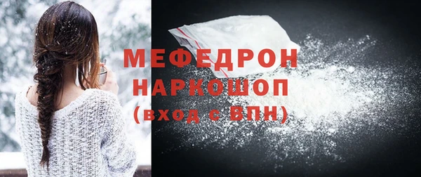 индика Няндома