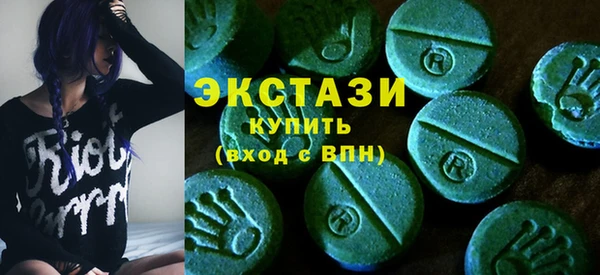 индика Няндома