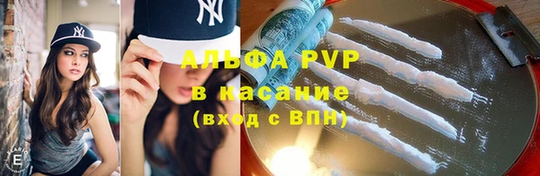 индика Няндома