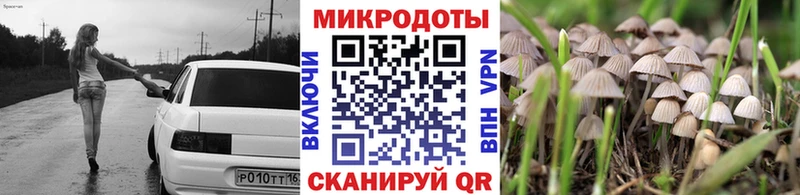 даркнет сайт  ссылка на мегу зеркало  Псилоцибиновые грибы прущие грибы  Сковородино 